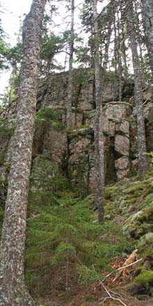 Cliffs on Beech Mountain's eastern flanks (photo by Webmaster)