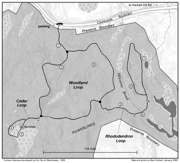 Trail map of Manchester Cedar Swamp (map by Ben Kimball for NH Natural Heritage Bureau)