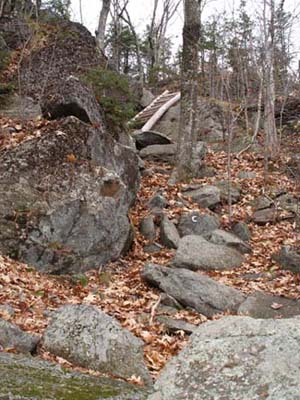 There are lots of rock scrambles on the Cliff Walk path to Mt. Monadnock (photo by Webmaster)