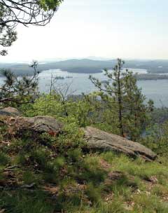 Ledges on top of West Rattlesnake Mtn. (photo by Dan Sperduto for the NH Natural Heritage Bureau)