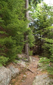 Beech Mountain South Ridge Trail (photo by Webmaster)
