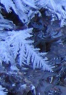 Ice crystals (photo by Mark Malnati)