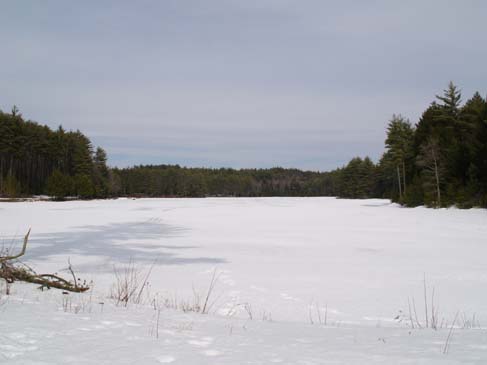 Meadow Lake from the dam area (photo by Webmaster)