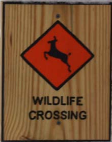 "Wildlife Crossing" sign (photo by Webmaster)
