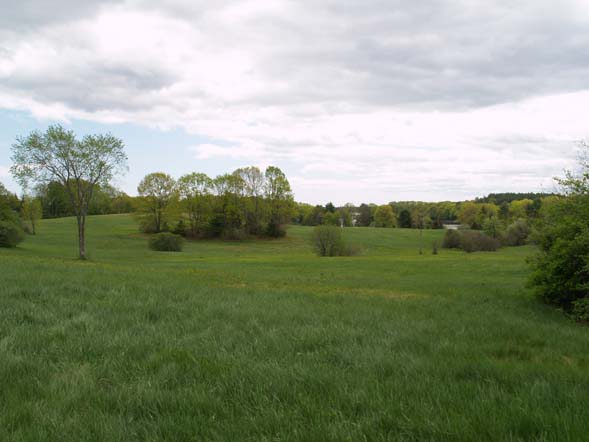 View of fields from the wagon (photo by Webmaster)