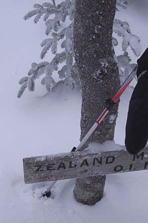Zealand Mountain spur sign barely visible just above the snowpack (photo by Rachel Bowles)